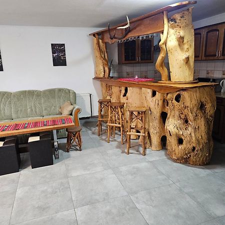ארפאסו דה סוס Casa De Vacanta Marin מראה חיצוני תמונה