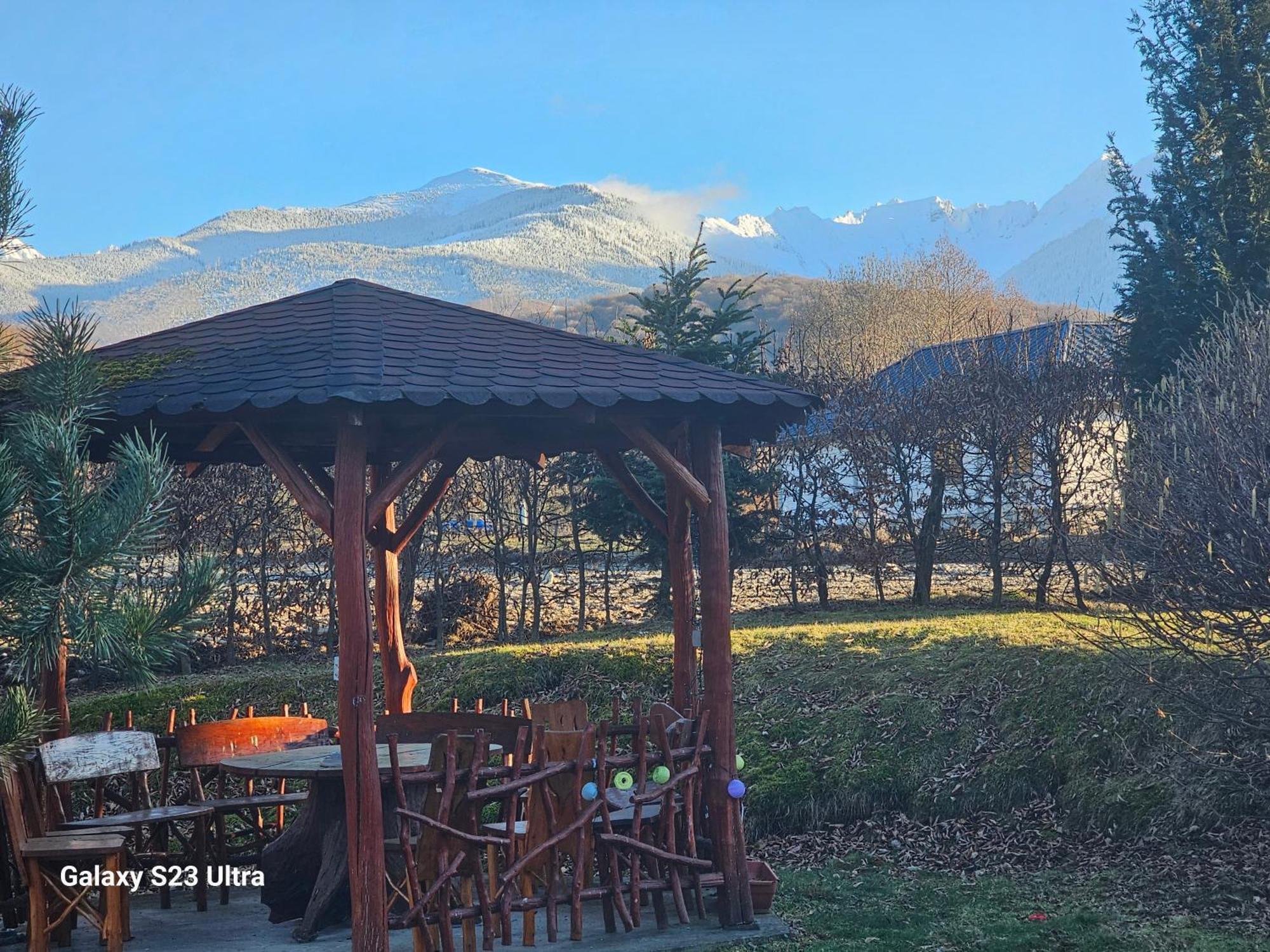 ארפאסו דה סוס Casa De Vacanta Marin מראה חיצוני תמונה