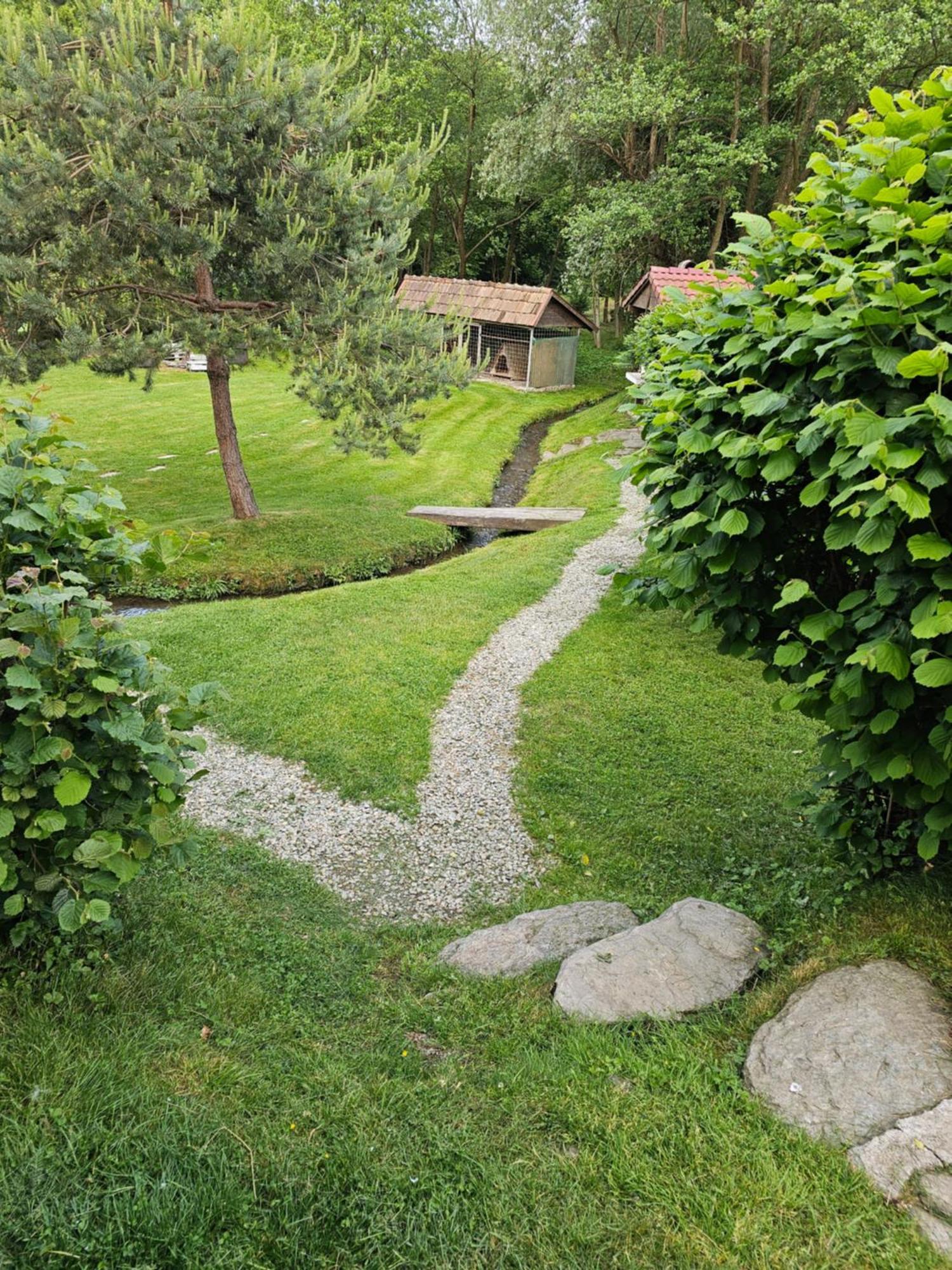 ארפאסו דה סוס Casa De Vacanta Marin מראה חיצוני תמונה